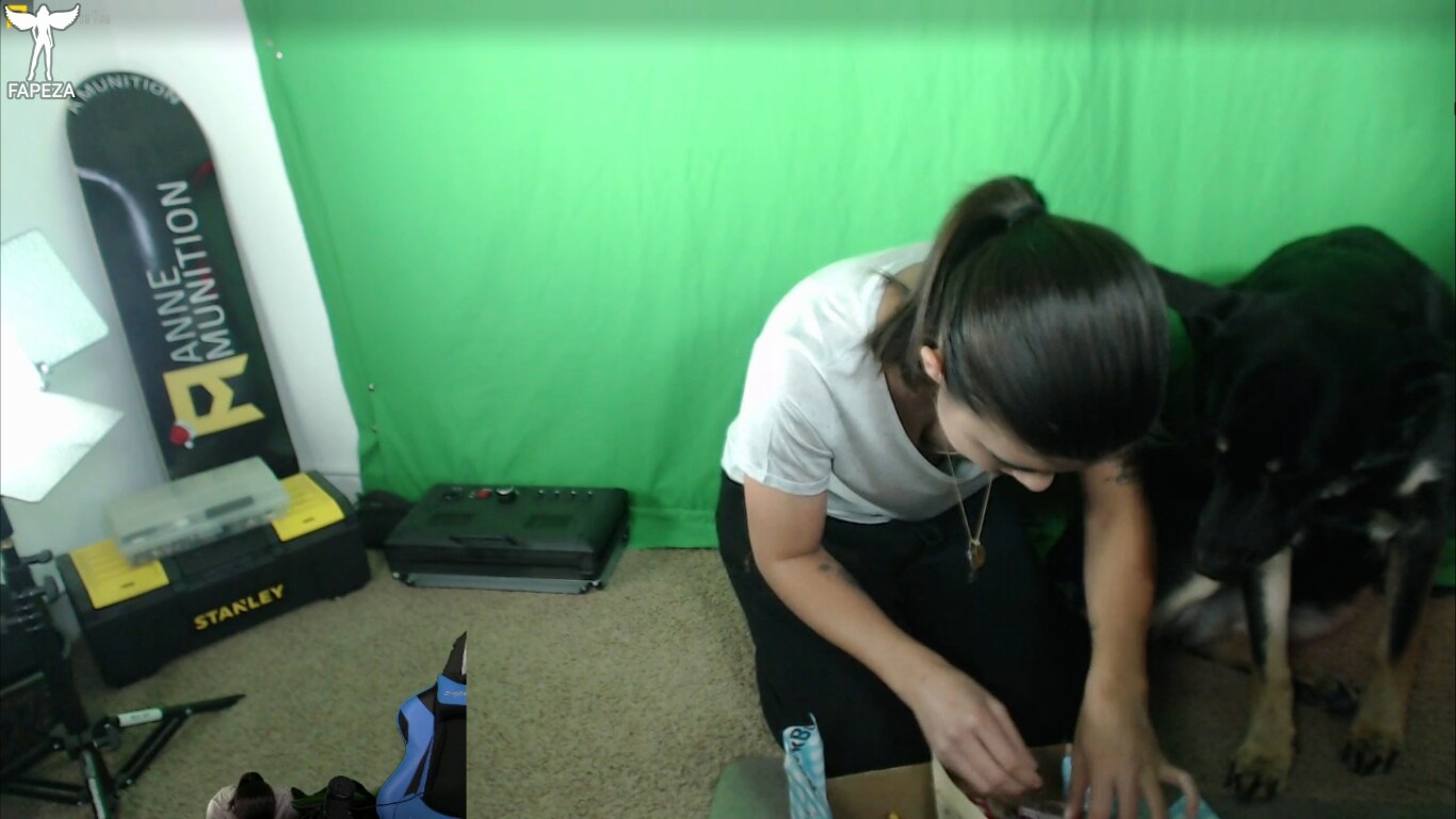 annemunition