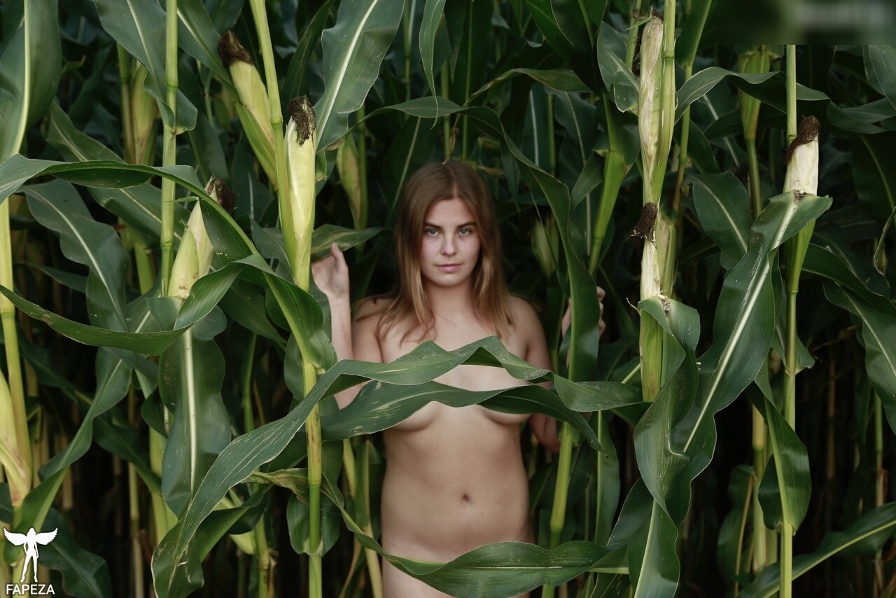 dairy-lena