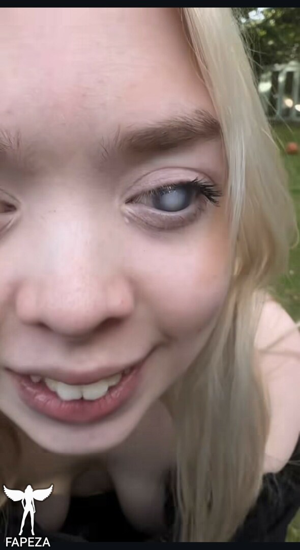kittysblind