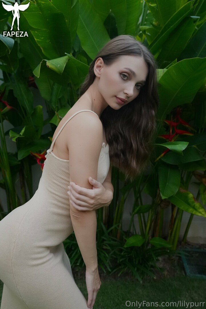 lilypurr
