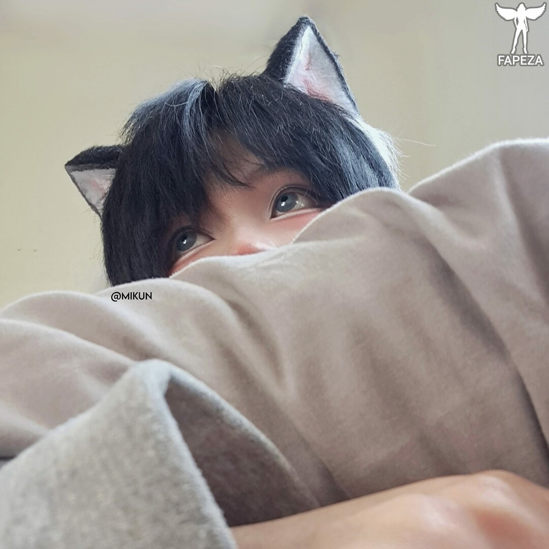 mikun-nyan