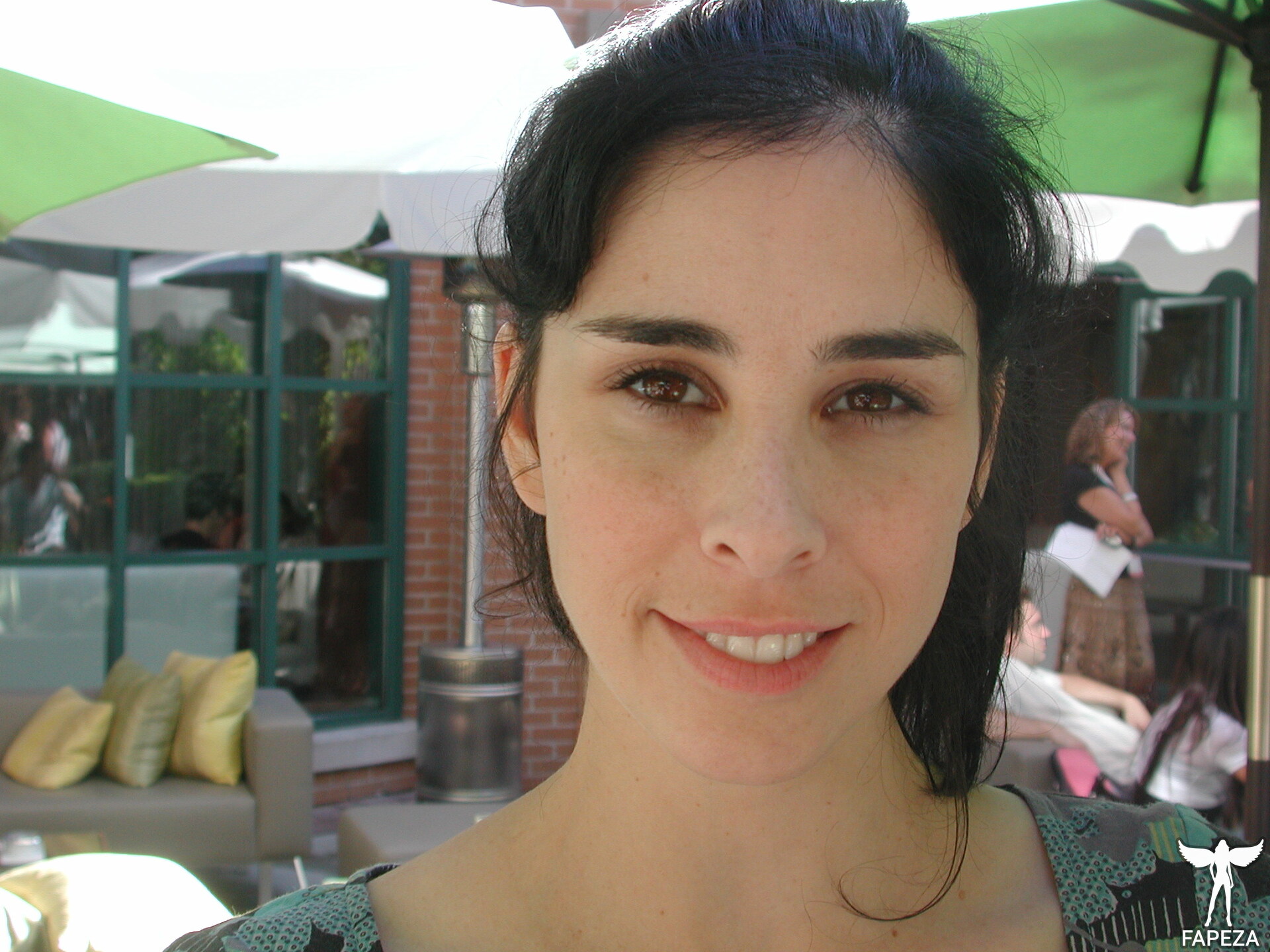 Sarah Silverman / sarahkatesilverman Nude Leaks Photo #14 - Fapeza